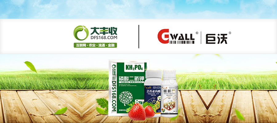 大豐收攜手巨沃科技，打造智慧高效農(nóng)資供應(yīng)鏈體系